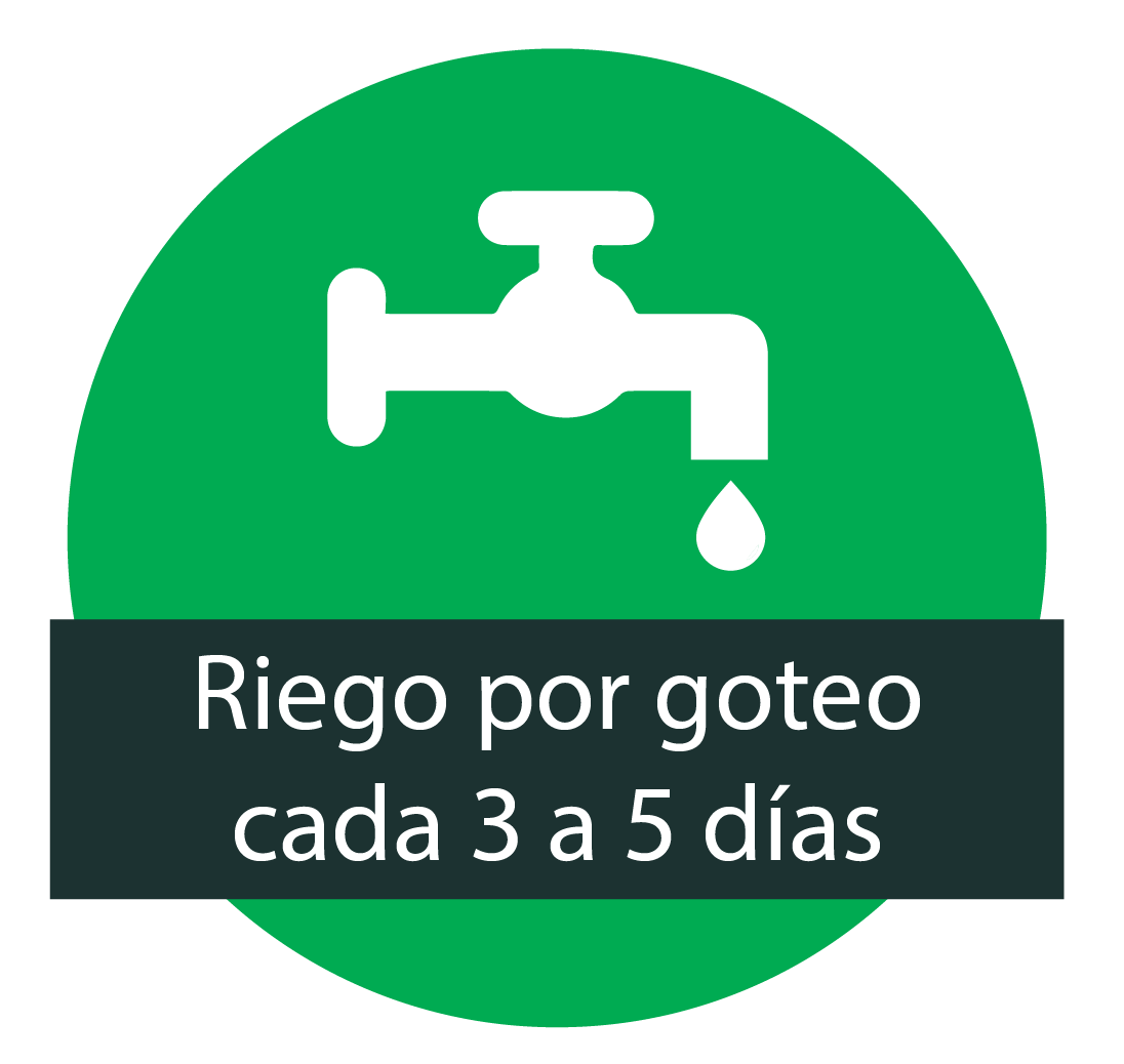 Huevo certificado y Alas Libres | Productos Alvarez