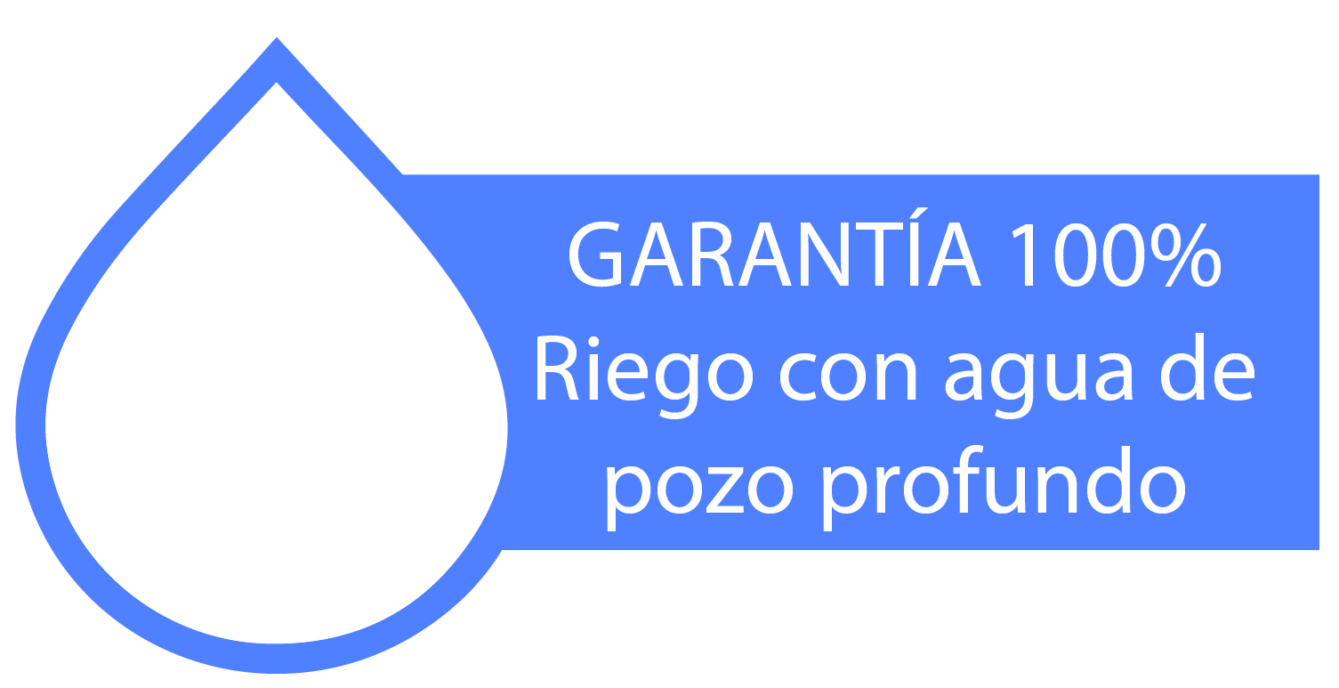 Huevo certificado y Alas Libres | Productos Alvarez